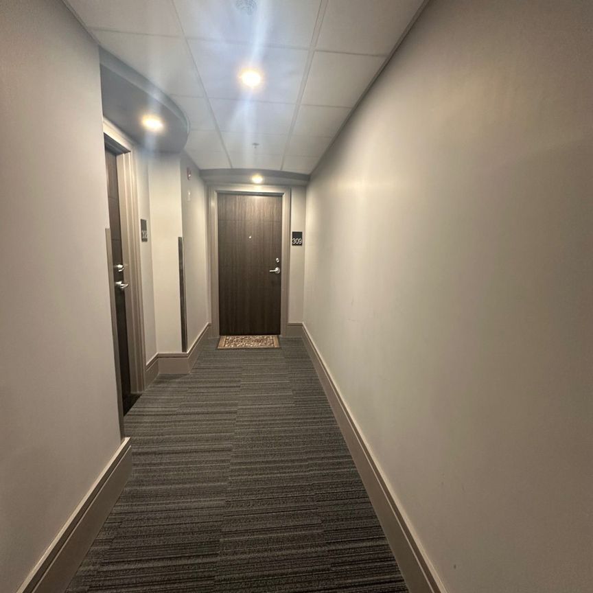 For Lease - 300B FOURTH Avenue Unit# 309, St. Catharines, Ontario - Photo 1