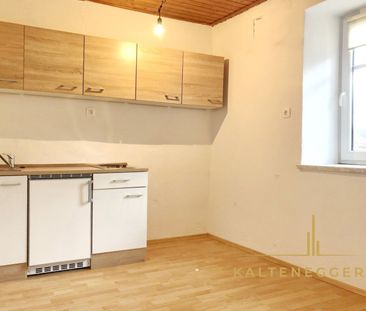 Zweizimmer Wohnung im alten Bauernhof - Foto 1