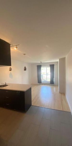 1 CH - 1 SDB - Montréal - $1,295 /mo - Photo 1