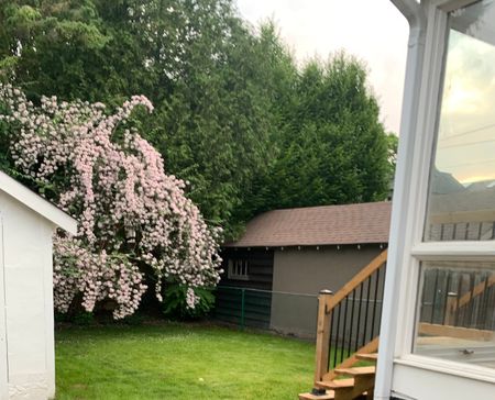 For Lease - 1064 Royal York Road, Toronto, Ontario - Photo 5