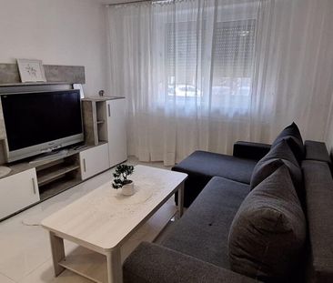 Drumul Taberei, Timisoara, Frigocom, mobilat, utilat modern, pet fr... - Fotografie 3