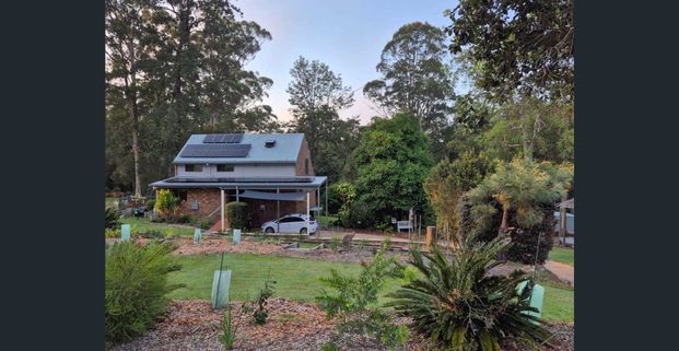 Charming Rustic Semi-Rural Home - Peaceful Living Near Woolgoolga - Photo 1