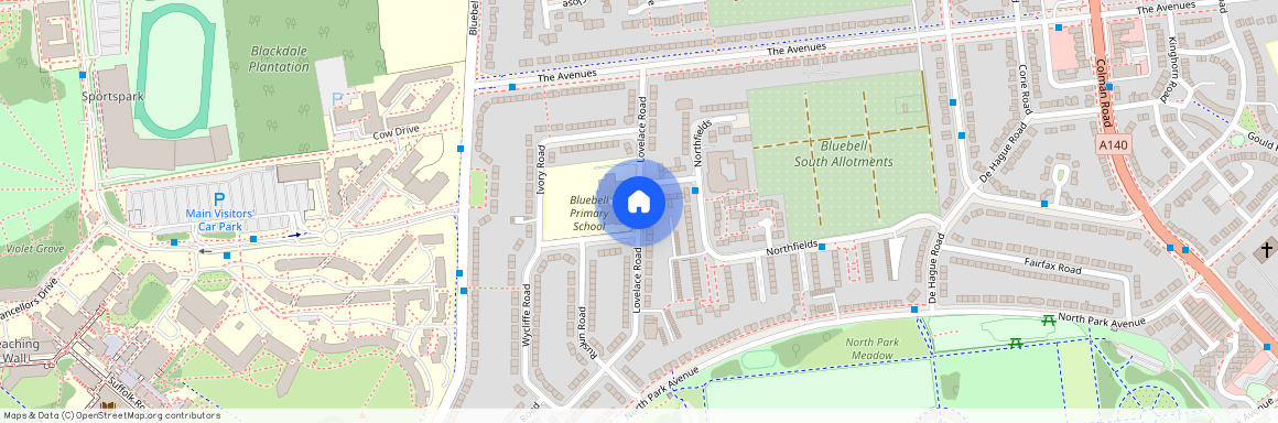 Lovelace Road, Norwich