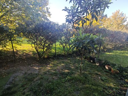 BORDEAUX CAUDERAN - Eglise Saint Amand - Appartement de Type 4 - Terrasse + jardin + garage - Photo 4