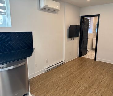 Renovated and Semi-Furnished Studio, available now - Photo 4