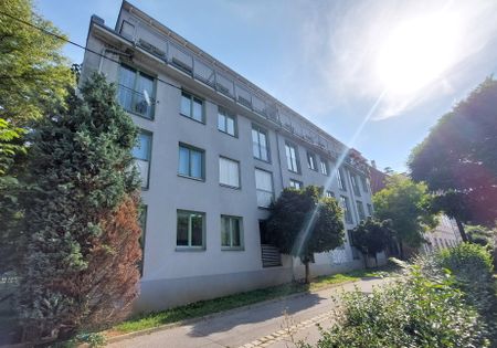 SINGLE-HIT: Schöne Klein-Wohnung bei der KF-UNI mit TERRASSE - Heinrichstraße 47b Top 08A - Foto 4