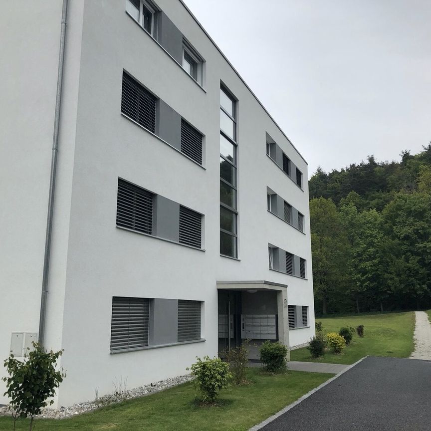 MAGNIFIQUE 2.5 PIECES / SEHR SCHÖNE 2.5-Zimmer-Wohnung - Foto 1