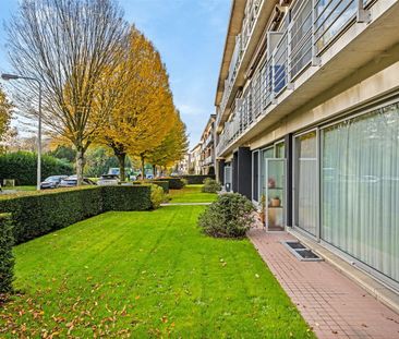 Gerenoveerd gelijkvloers appartement in Edegem - Photo 1