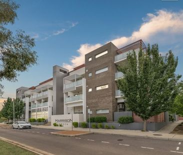 49/11 Wimmera Street, Harrison ACT 2914 - Apartment For Rent | Domain - Photo 1