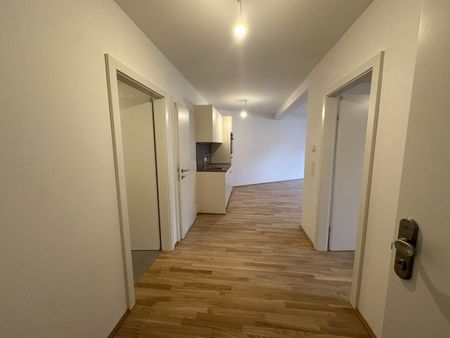 Erstbezug! 2-Zimmer mit Garten in einem Neubau in 2221 Groß-Schweinbarth - Photo 3