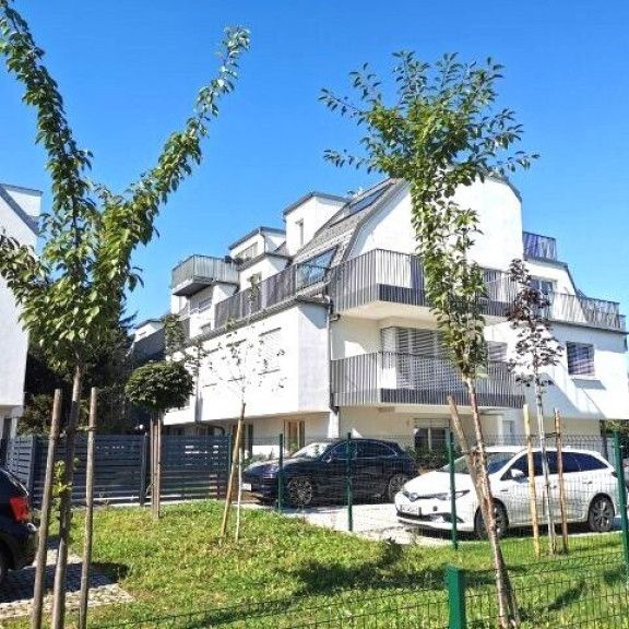 Moderne DG-Terrassenwohnung mit Parkplatz nahe U1(Großfeldsiedlung 5.Min) - Foto 1