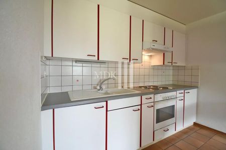 1.5 Zimmer, EG - Photo 5