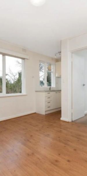 RENOVATED 1 BEDROOM APARTMENT - Photo 1