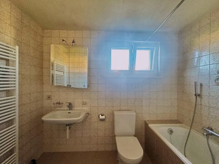 Charming house for rent in Chéserex - Photo 2