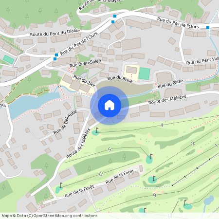 Route des Mélèzes 40, Crans-Montana