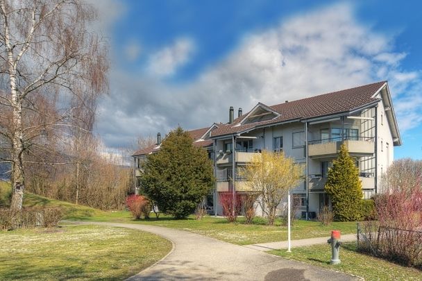 Voir, s’émerveiller, louer - Foto 1