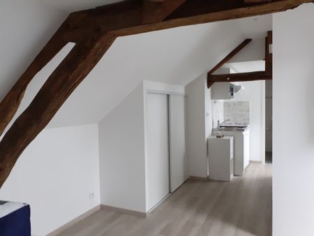 Location Appartement 1 pièce 16m² OUZOUER SUR LOIRE 45570 - Photo 4