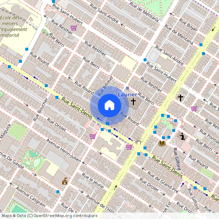 5223 Rue Saint-Denis, Plateau-Mont-Royal, Plateau-Mont-Royal, Ile de Montréal, H2J 1E6