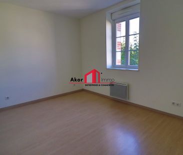 Location Appartement 3 pièces 95m² CHAMPS SUR YONNE 89290 - Photo 4