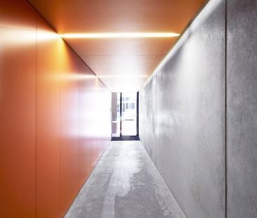 203/385 Sydney Road, Balgowlah NSW 2093 - Apartment For Rent | Domain - Photo 1