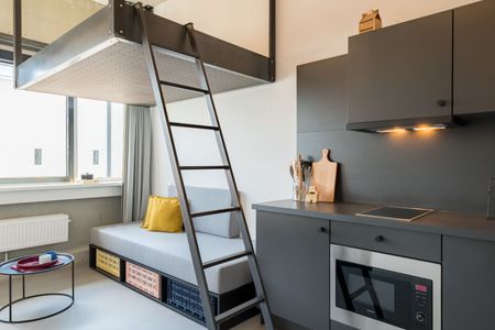 Te huur: Studio Maasboulevard in Maastricht - Photo 3