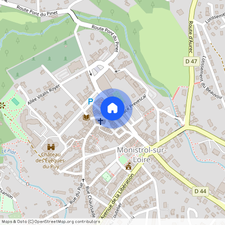 MONISTROL SUR LOIRE (43120)