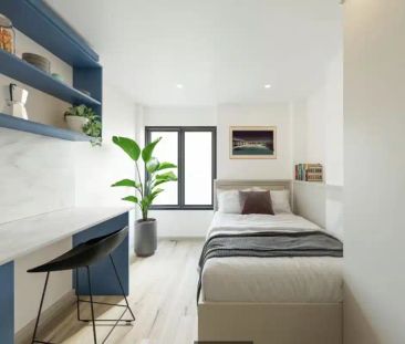 Silver Studio - Photo 5