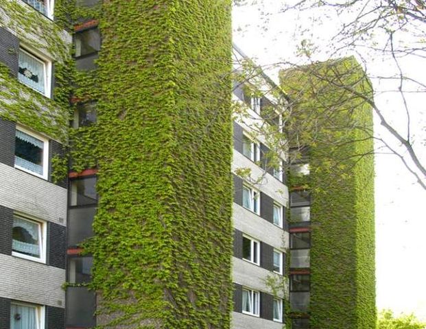 modernisierte 4- Zimmer Wohnung mit optimalem Schnitt in Duisburg-Neumühl! - Foto 1