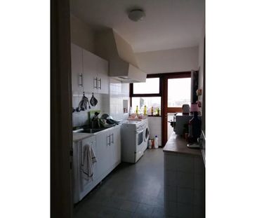 Rua da Maternidade, Porto, Braga 4050-370 - Photo 4