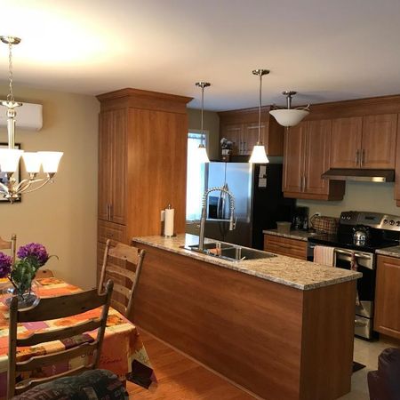 4 1/2 Riviere-Rouge, Luxueux et super propre - Photo 3