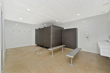 Luxury 2 Bedroom Apartments - Photo 4