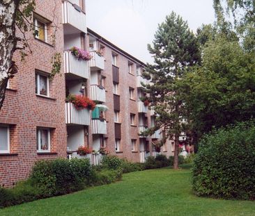 Demnächst frei! 3-Zimmer-Wohnung in Detmold Knochenbach - Foto 2