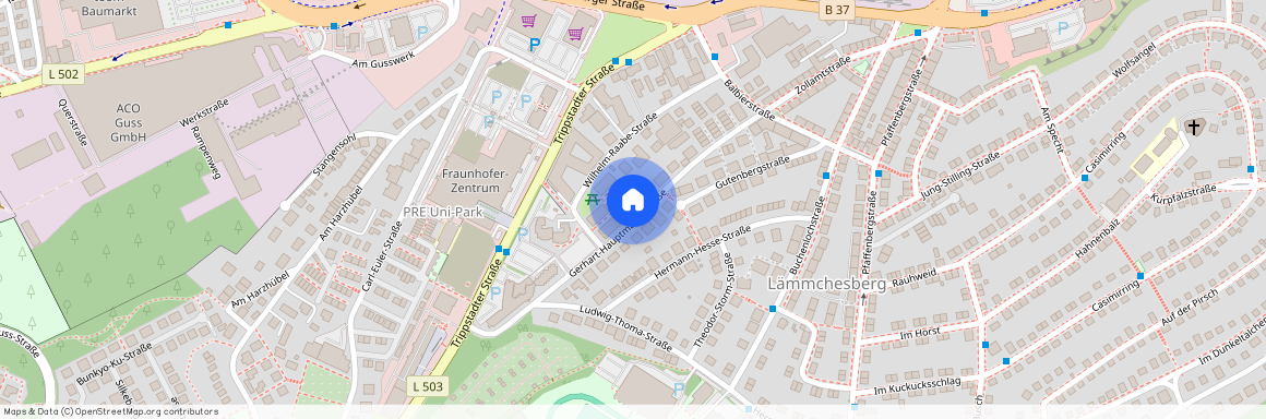 Gerhart-Hauptmann-Straße 16, 67663 Rheinland-Pfalz - Kaiserslautern