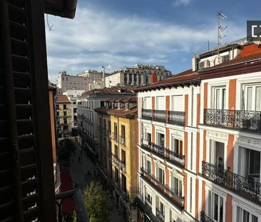 madrid, Community of Madrid 28012 - Photo 3