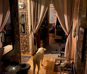 Skidbacken, Sundbyberg - Photo 5