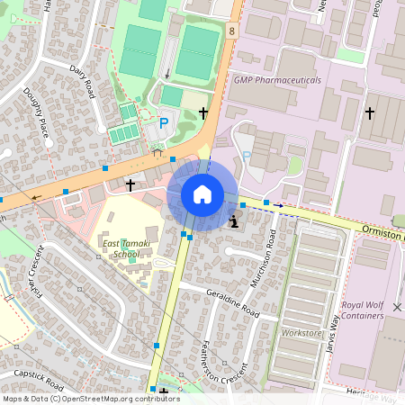 243 Preston Road, Manukau City, Otara