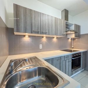 Te huur, energiezuinig 1 slaapkamer appartement nabij centrum Oudenaarde - Photo 2