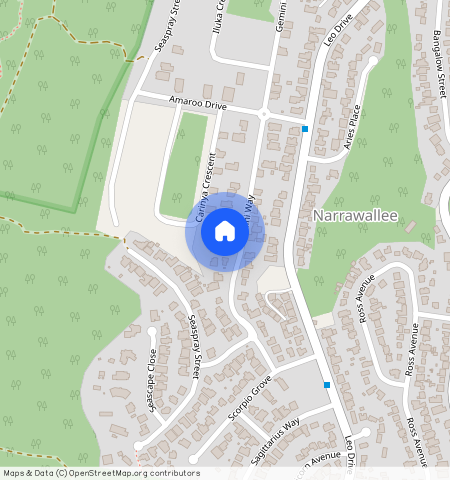 ** & 25A Gemini Way, Narrawallee, NSW 2539