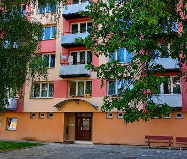 Pronájem bytu 2+1 59 m² - Fotografie 4