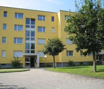 Tolle Wohnung im Grünen! - Photo 6