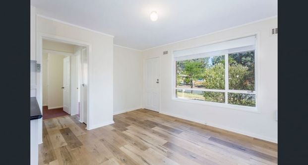 3/74 Tharwa Road, Queanbeyan - Photo 1