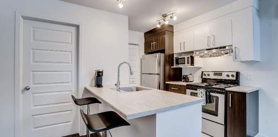 1 CH - 1 SDB - Gatineau - $1,250 /mo - Photo 2