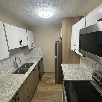 Brand New Kitchen--2 Bedroom Beltline Condo! - Photo 4