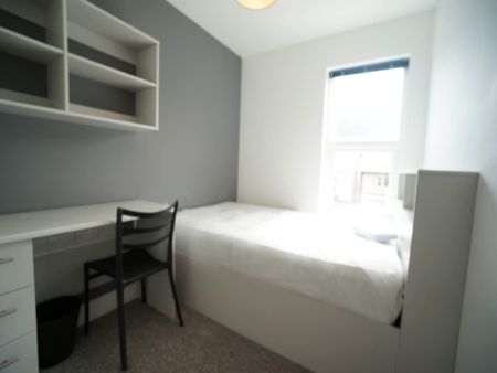 Haulfryn Deiniol Road - Photo 4