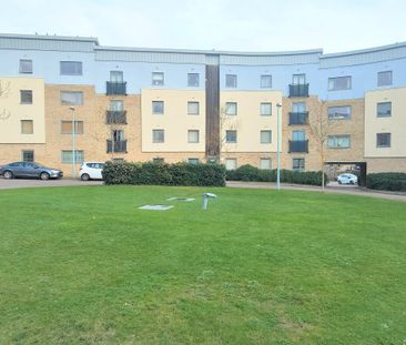 Forum Court - Photo 3