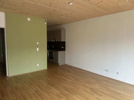 120 Meter zur U1 Oberlaa- Sonnige, barrierefreie südseitige Wohnung- inkl. Küche - Photo 1