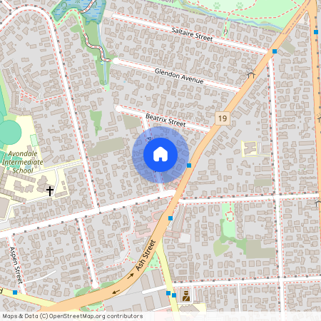 3 Plane Street, Avondale, Auckland City