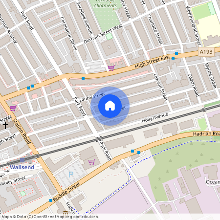 Vine Street, Wallsend NE28