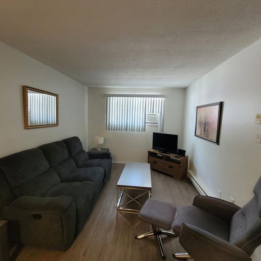 19 Rue D'Orléans (Gatineau) Beau Logement 4 1/2 à Louer - Photo 1