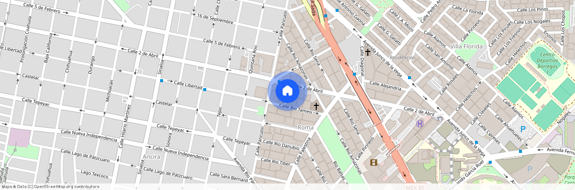 Calle Nadadores, Roma, 64700 Monterrey, NLE, Mexico